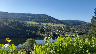 Blick vom Hof auf den Rursee und Einruhr