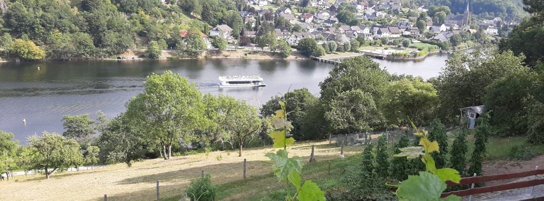 Impressionen | Ferienwohnung Traumblick, Hof Rösberg bei Einruhr, Simmerath / Einruhr